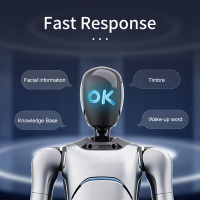 OmniHand 2025 คอมแพคต์ DOF สูง อินเตอร์เอกซ์เตอร์ มือเก่ง